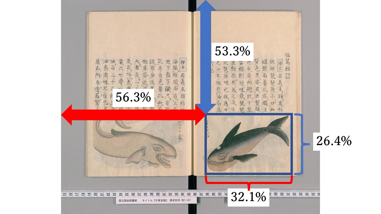 古典籍資料（日東魚譜）からクジラの絵の描かれた領域を切り出してパラメータを説明した図
